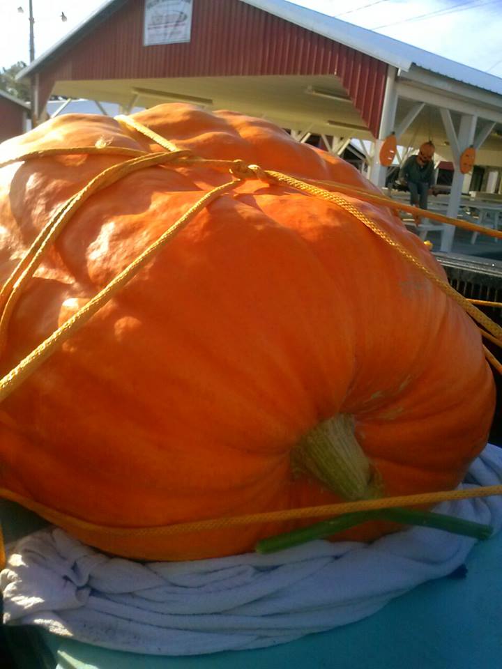 South Jersey Pumpkin Show