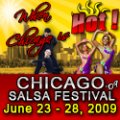 Chicago Salsa Festival 2009. photo