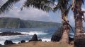 American Music Festival and Conference 2012 Hawaii photo