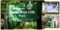 Peachtree Hills Festival of the Arts ? Celebrate Summer in Style! photo