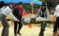 10th Annual National Day of the Cowboy Celebration photo