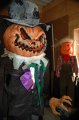 South Jersey Pumpkin Show photo