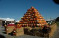 South Jersey Pumpkin Show photo