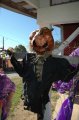 South Jersey Pumpkin Show photo